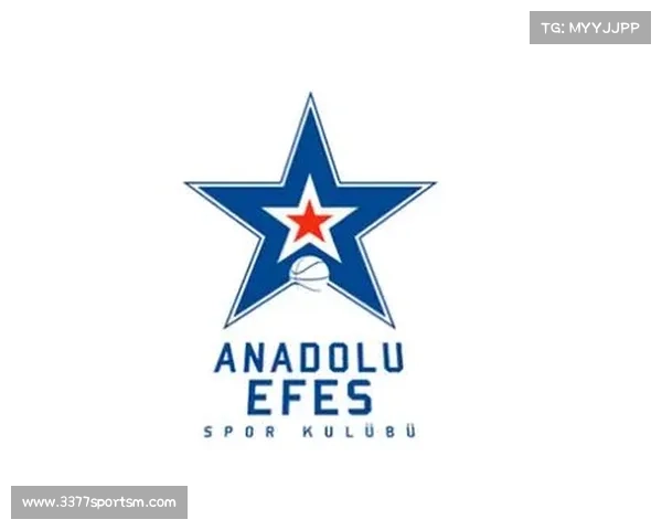 土耳其电信俱乐部新名《3000万欧元注资,更名计划曝光》 土耳其电信俱乐部新名《3000万欧元注资,更名计划曝光》