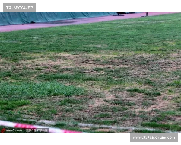 武汉三镇主场草皮遭恶意涂鸦 俱乐部悬赏10万追查极端球迷责任 武汉三镇主场草皮遭恶意涂鸦 俱乐部悬赏10万追查极端球迷责任